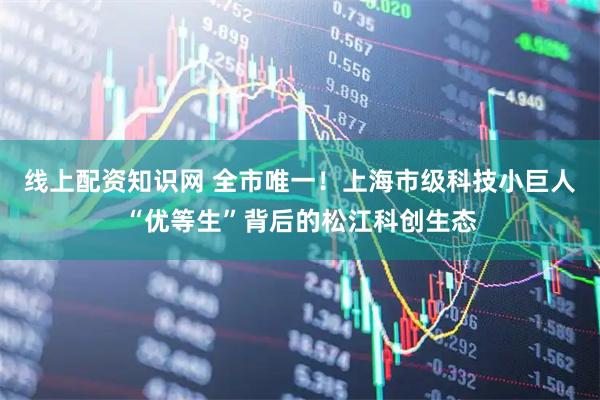 线上配资知识网 全市唯一！上海市级科技小巨人“优等生”背后的松江科创生态