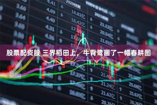 股票配资股 三界稻田上，牛背鹭画了一幅春耕图