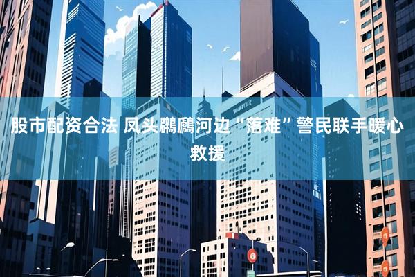 股市配资合法 凤头鸊鷉河边“落难”警民联手暖心救援